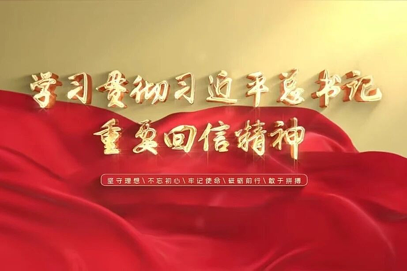 深学笃行总书记回信精神，争做新时代先锋青年丨学习“习近平总书记重要回信精神 ”